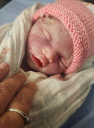 Bébé Maya Borris