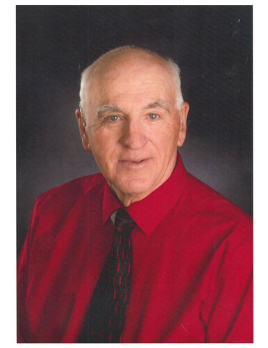 Medium wilmond turbide